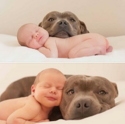 awwww-cute:  Best Friends (Source: http://ift.tt/1JlvmKr)