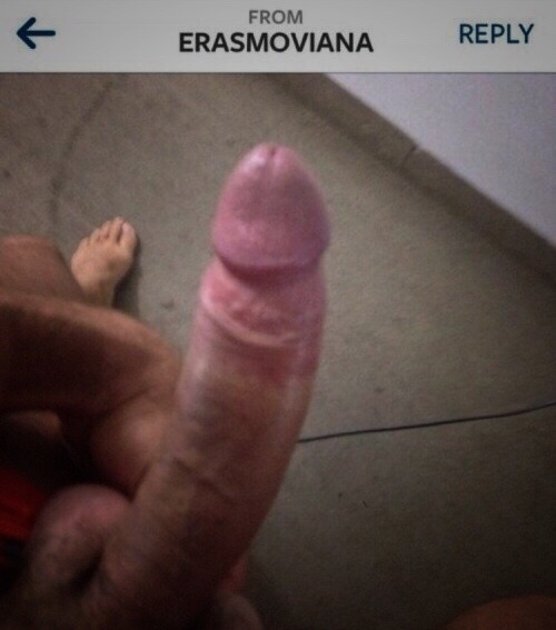 hacolour:  erasmo viana  