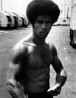 itsonlyparanoia:  Jim Kelly best known for his role in the Bruce