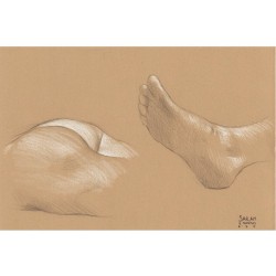 Sarah: Foot and Butt Studies 3B pencil and white Prismacolor