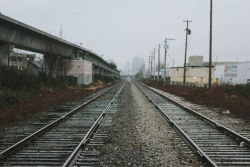 lifeofshralp:  Tracks to Burnaby.