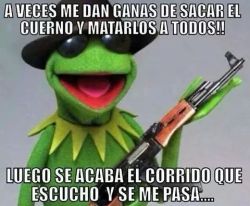 Haay esos corridos