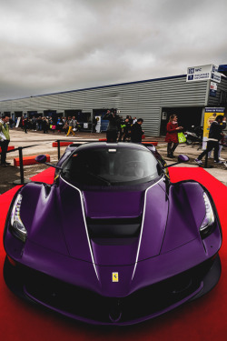 italian-luxury:  Purple Rarri LaFerrari