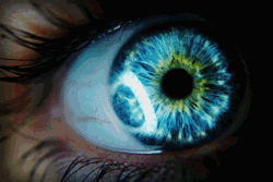 sexnoise:  I wish I had blue eyes sigh