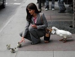 becausebirds:  She took the bait.