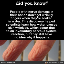 did-you-kno:  People with nerve damage in their hands don’t