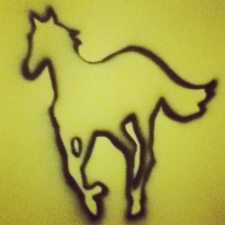 DEFTONES WHITE PONY