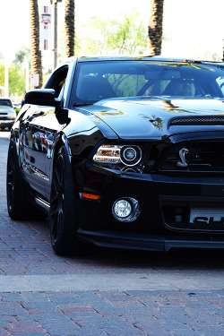 fullthrottleauto:  Stallion (by razgrizalexander) (#FTA)