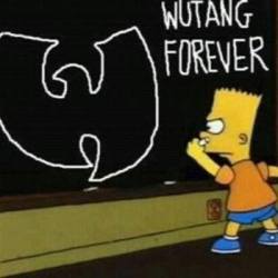 well its like odb (r.i.p.) said “wu tang is for the children”