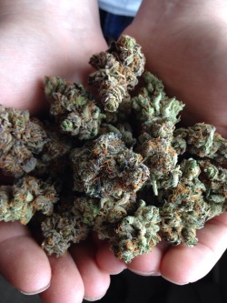 kyletouchme:  Green crack 🤑💚