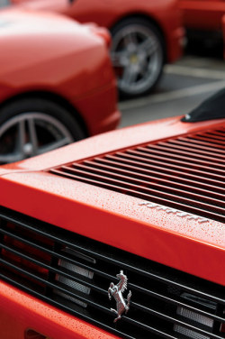 wellisnthatnice:  Ferrari by pyntofmyld on Flickr.