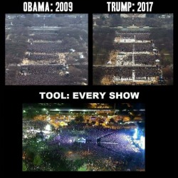 TOOL beats them all…….Spiral Out