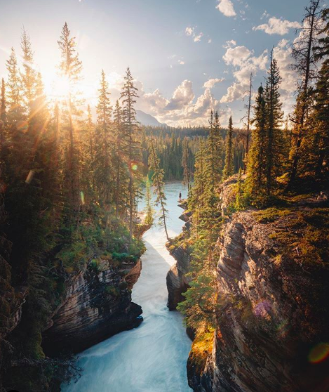 lushgreen:  via instagram