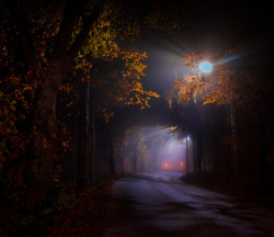 milamai:  October Nights by Milamai 