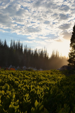 dirtyflowerchild:  Uinta National Forest, Utah Rainbow Gathering