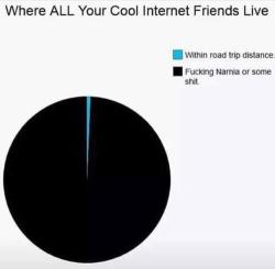 memehumor:Where all your internet friends live so true