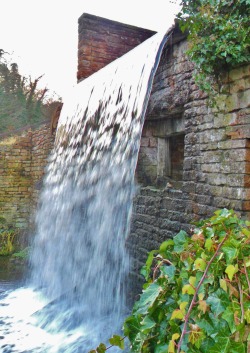 vwcampervan-aldridge:  Waterfall , Newstead Abbey, Nottinghamshire,