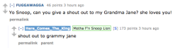 jacquemander:  there-were-giants:  Snoop Dogg/Lion has been doing