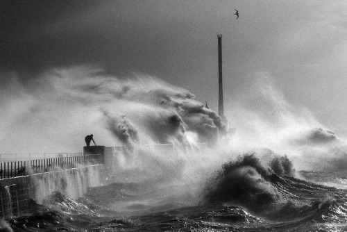 attropin: Waves in Le Havre, France, 1984 by Jean Gaumy