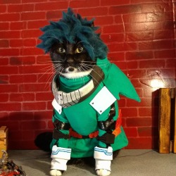 cat-cosplay:  cat-cosplay:  “A smiling… dependable… cool