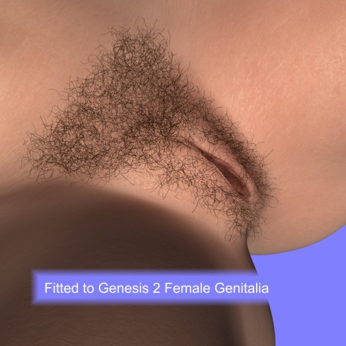 Got some brand new Pubic Hair for Genesis 2 Female! Fits automatically to the base figure,  the Genesis 2 Female Genitalia and the New Gens for Genesis 2 Female following applied morphs. All shapes are possible! Check the link for all the info! Works