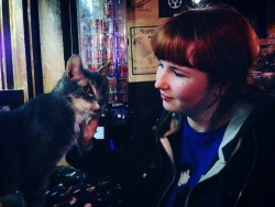 foxybaggins:  I wanna go back to Amsterdam and befriend pub cats.