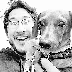 heymarkiplier: markiplier   maggie @markipliergram Can’t forget about Maggie!! 