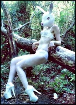 mistresskaterina:  Bunny Girl 