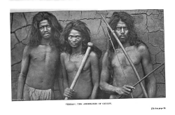 the-two-germanys:  Veddas: The aborigines of Ceylon.Spoila zeylanica: