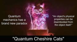 the-science-llama:  Physicists add ‘Quantum Cheshire Cats’
