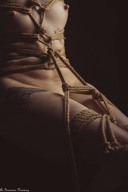 spicenwolf:  ohgracie:  Rope & photo: John Peterson Model: