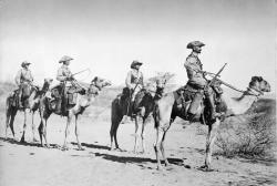 Camel patrol, German Southwest Africa, 1907