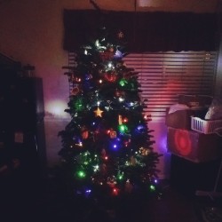 My first REAL Christmas tree! We are decorating masters! @betsy_baer