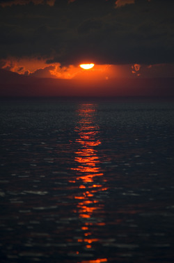 disminucion:  by Dino Sokocevic 