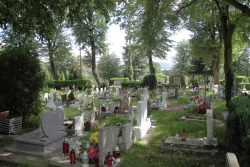 yoda-ii:   The parish cemetery in BOLKÓW /Lower Silesia - Poland/  