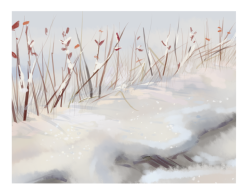 felidaefatigue:another small joy of winter; the way tall grasses