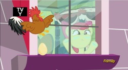 Only in Equestria do roosters lay eggs.Edit: Finished watching