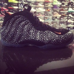 solecontrol:  Did you cop the new #safari #foamposite??  Pairs