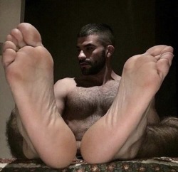 paulsbunion:  Toes up with room for my face to rest between those