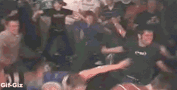gif-giz: http://gif-giz.tumblr.com/ 