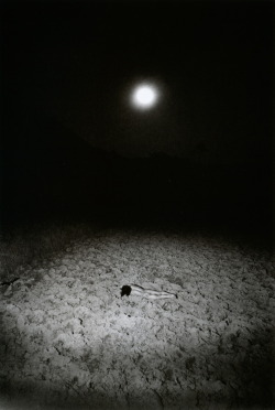 liquidnight:  Eikoh Hosoe Kamaitachi #36, 1968 From Eikoh Hosoe