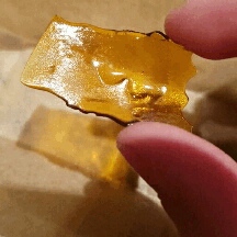 dariamorgandabber:Look at that sparkle Huckleberry Shatter /