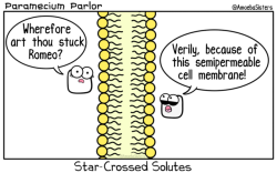 amoebasisters:    A little Shakespeare in the cell membrane…