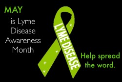 spoonieswimmer:  Today marks the first day of Lyme Disease Awareness