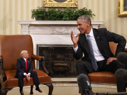 tastefullyoffensive: #TinyTrump is my new favorite meme.