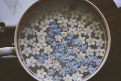 l0ve-kills-emoti0ns:  hipster on Tumblr en We Heart It. http://weheartit.com/entry/85308651