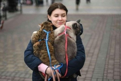 catsbeaversandducks:Ukrainians fleeing with their pets. They