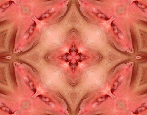 kaleidoscopepussy:  wow, such a juicy pussy!   