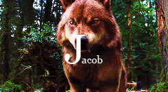 jacksonrathbons:  The Twilight Saga Alphabet       ↳ Q is
