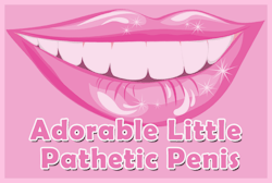  Adorable Little Pathetic PenisThis humiliation audio session